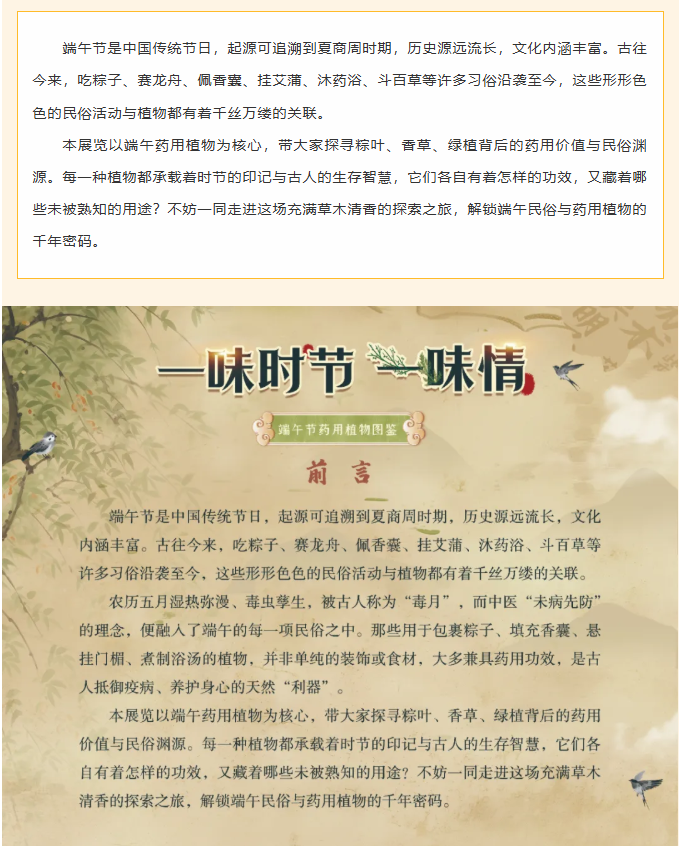 image.png?v=1782174181266