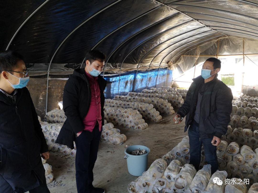 1 1.jpg?v=1765947531626