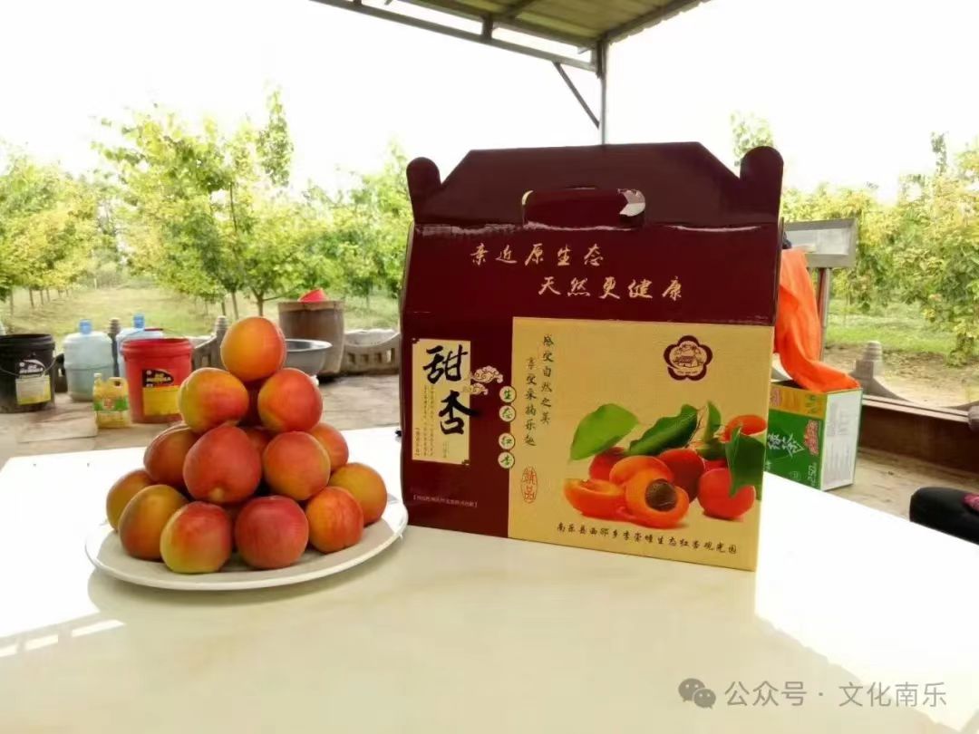 微信图片_20240722160429 微信图片_20240722160429.jpg