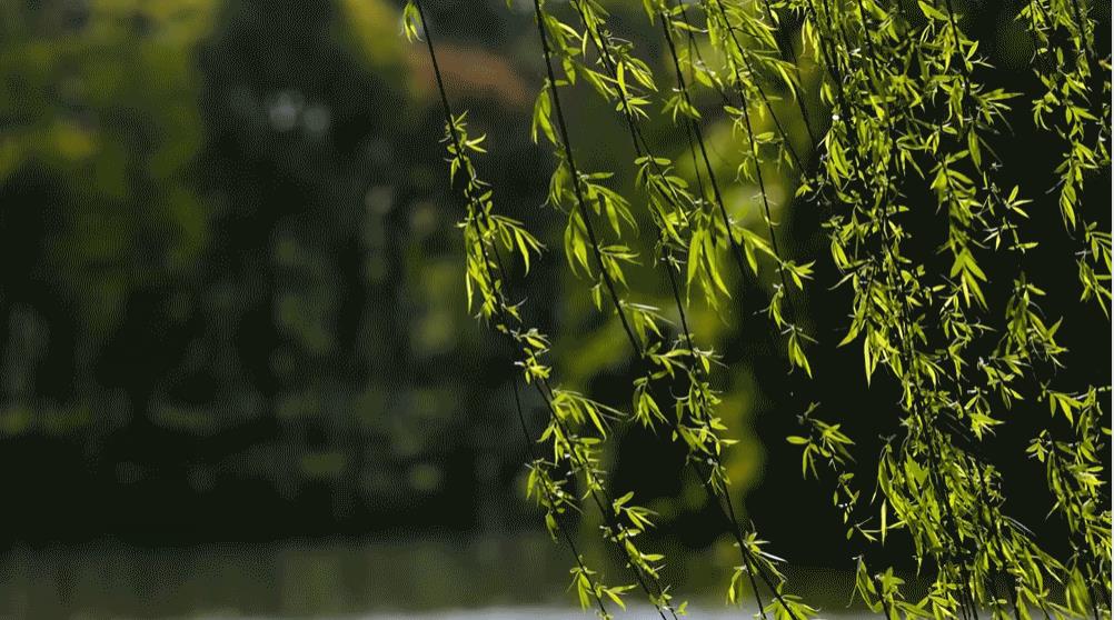 360截图20230531170607955 360截图20230531170607955.jpg