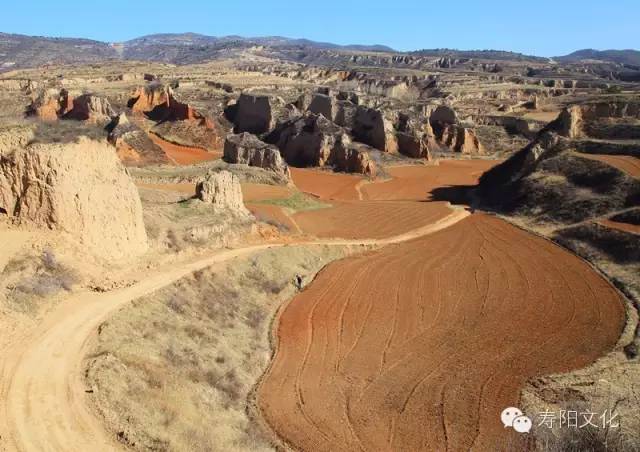 微信图片_20230329163221