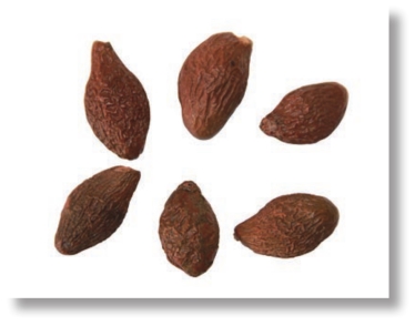 pagenumber_ebook=211,pagenumber_book=198