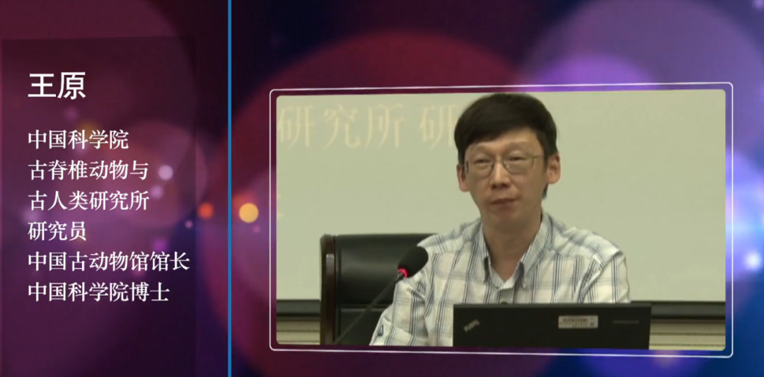 image image.png?v=1762323966724