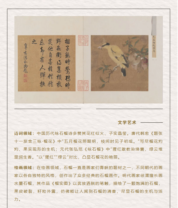 image.png?v=1762073883182