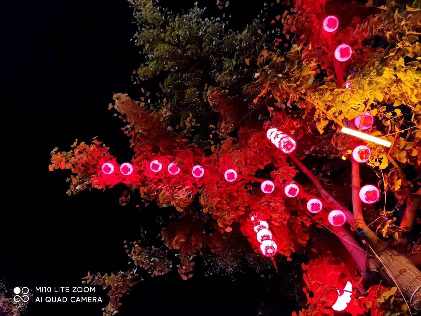 微信图片_20201214182420