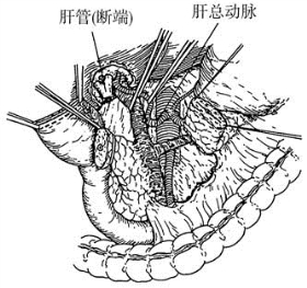 pagenumber_ebook=494,pagenumber_book=479