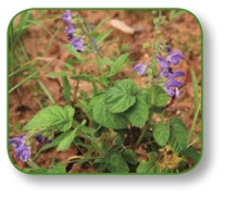 pagenumber_ebook=182,pagenumber_book=169