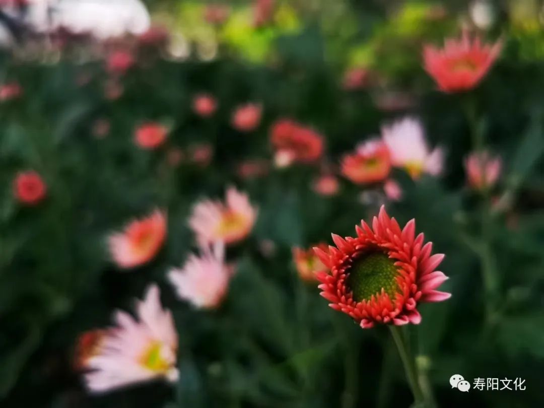 微信图片_20221027105433