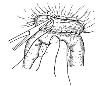 pagenumber_ebook=327,pagenumber_book=312