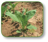 pagenumber_ebook=58,pagenumber_book=45