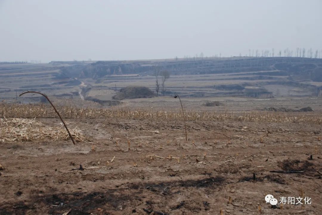 93f1b042c44825be18e018de3bc8f238_640_wx_fmt=jpeg&wxfrom=5&wx_lazy=1&wx_co=1 93f1b042c44825be18e018de3bc8f238_640_wx_fmt=jpeg&wxfrom=5&wx_lazy=1&wx_co=1.jpg