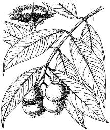 pagenumber_ebook=106,pagenumber_book=106