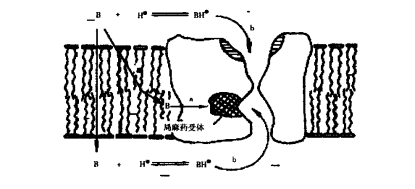 pagenumber_ebook=128,pagenumber_book=110