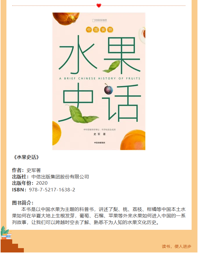 image.png?v=1762125929594