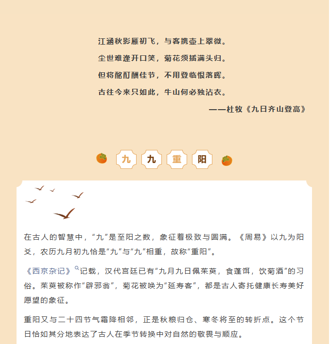 image.png?v=1762073571804