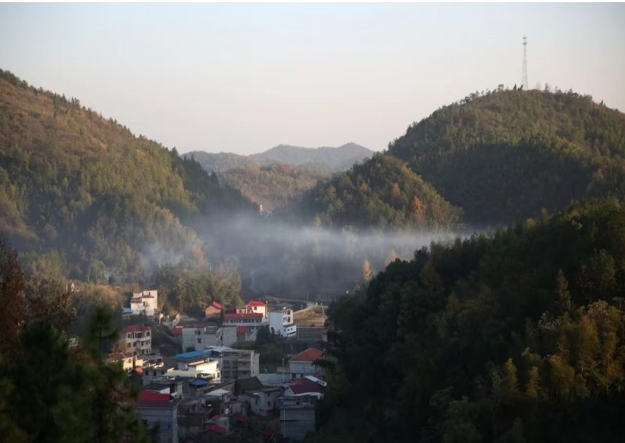 1732175159541 1732175159541.png