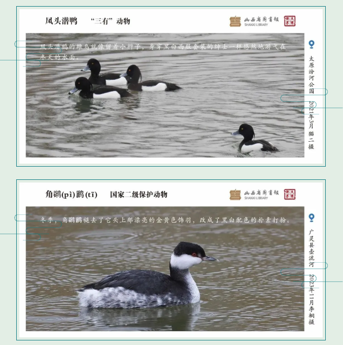 image.png?v=1757830673198