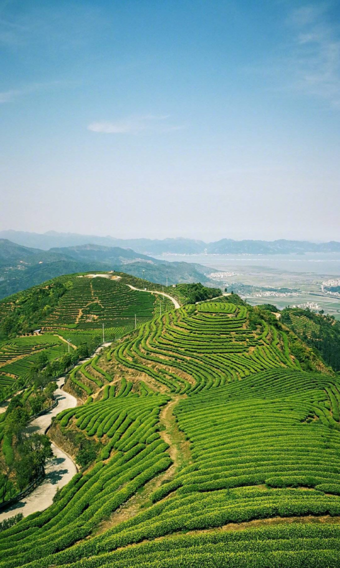 DM_20230130115929_017 DM_20230130115929_017.png