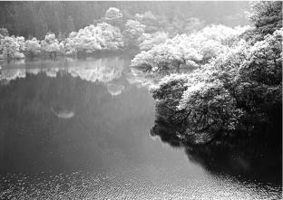 pagenumber_ebook=130,pagenumber_book=120