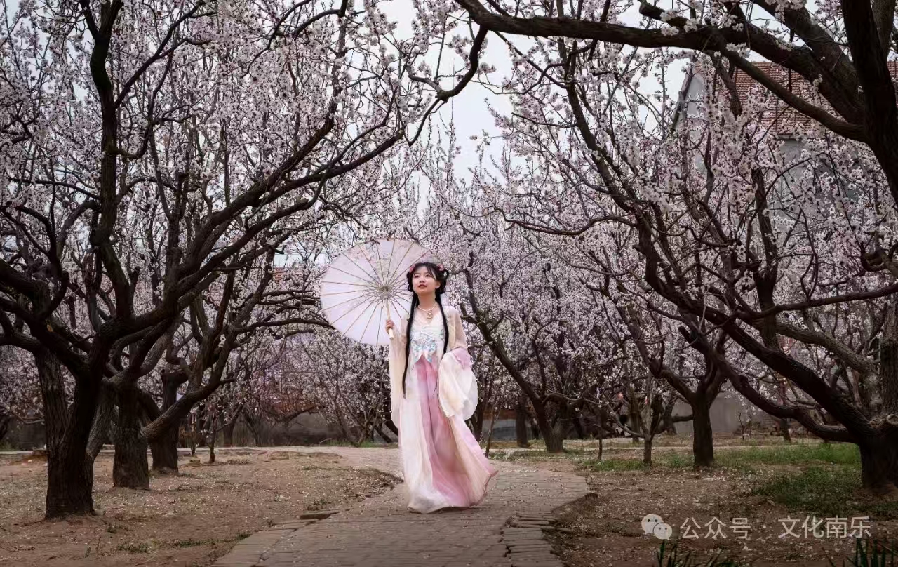 微信图片_20260507091230_116_132 微信图片_20260507091230_116_132jpg