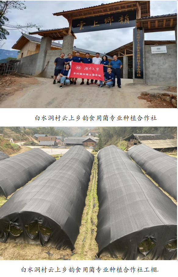 1732242521529 1732242521529.png