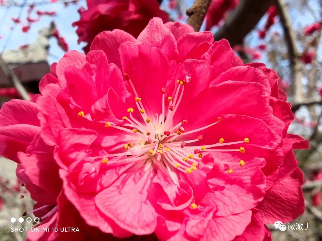 微信图片_20210406105914