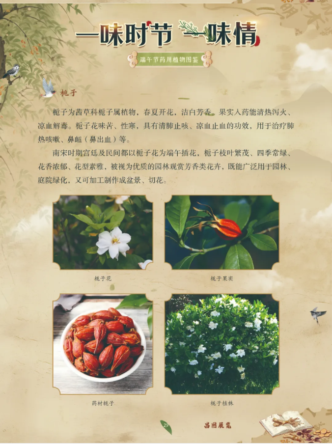 image.png?v=1782174181266