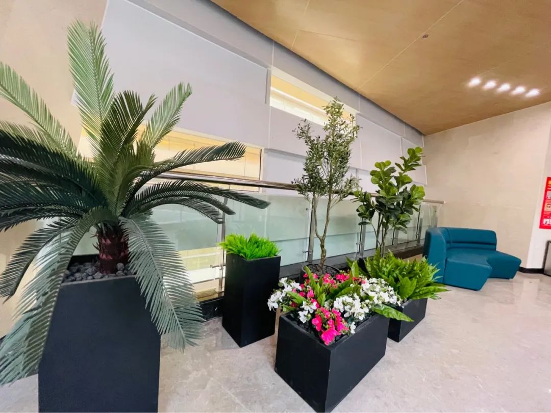 9a227c60dae5d5d725a89207b19f116e 9a227c60dae5d5d725a89207b19f116e