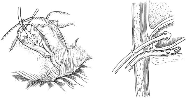 pagenumber_ebook=434,pagenumber_book=419