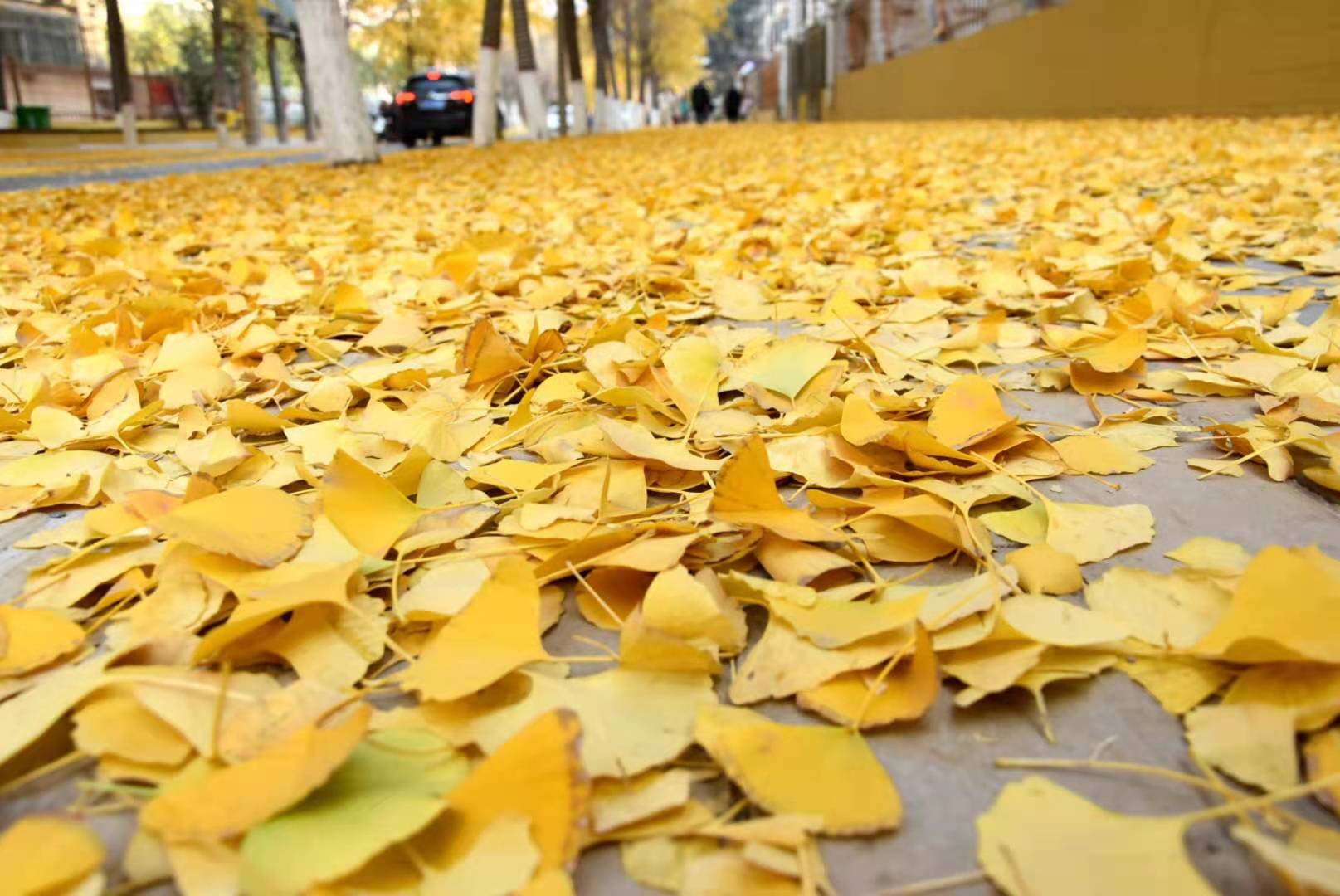 微信图片_202012142015043