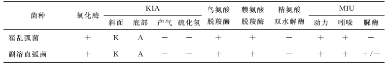 pagenumber_ebook=72,pagenumber_book=65