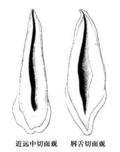 pagenumber_ebook=49,pagenumber_book=40