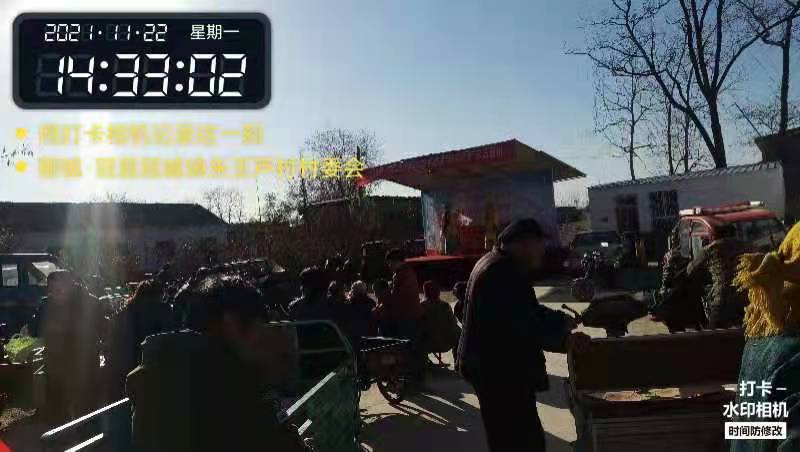 朱王芦