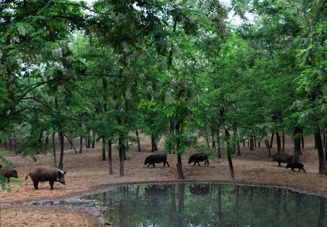 微信图片_20210225091754 微信图片_20210225091754.jpg