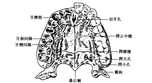 pagenumber_ebook=59,pagenumber_book=50
