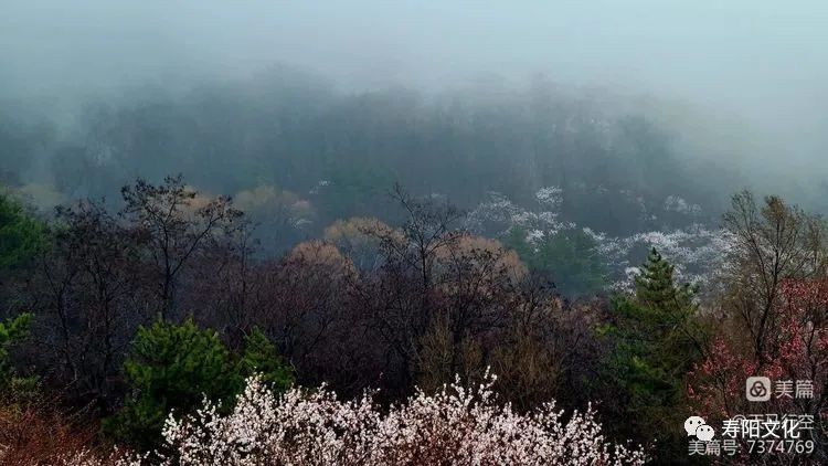 5bc57de3d4c7d24420fc86812363e2d7_640_wx_fmt=jpeg&wxfrom=5&wx_lazy=1&wx_co=1 5bc57de3d4c7d24420fc86812363e2d7_640_wx_fmt=jpeg&wxfrom=5&wx_lazy=1&wx_co=1.jpg