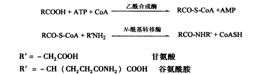 pagenumber_ebook=571,pagenumber_book=553