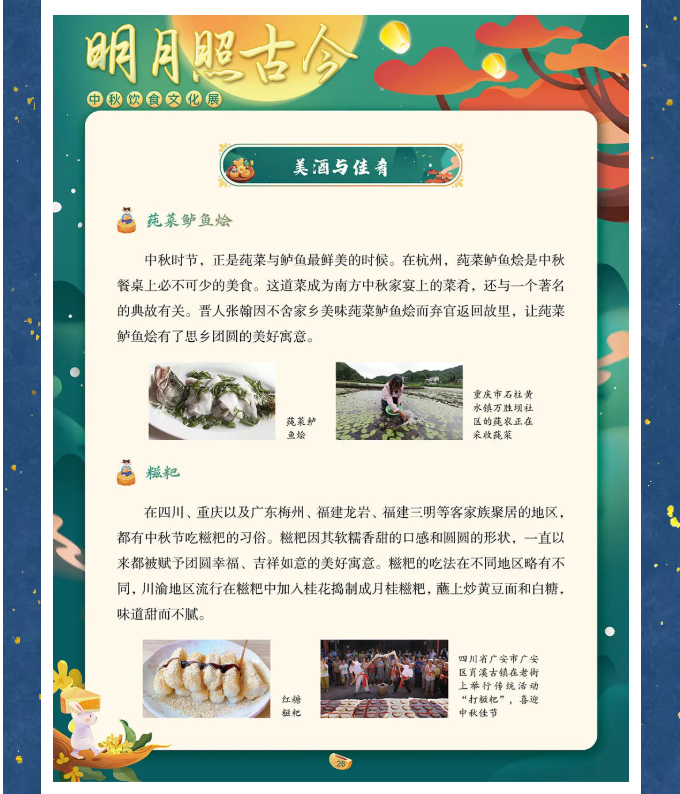 image.png?v=1762100189563