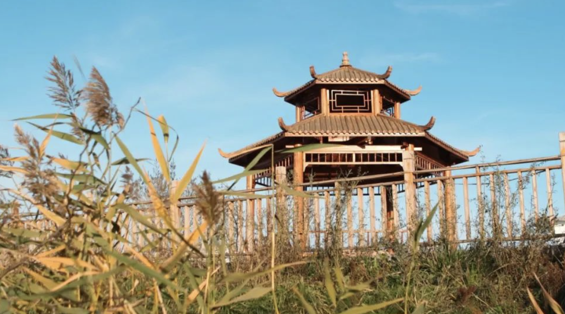 截屏2023-12-25 17.53.12