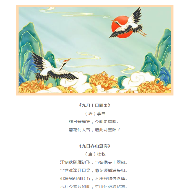 image.png?v=1750228987743