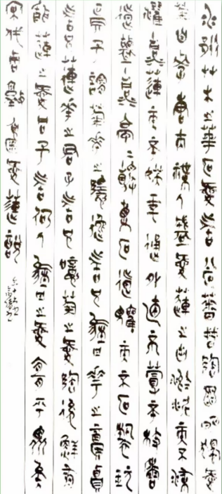 1735007639522 1735007639522.jpg