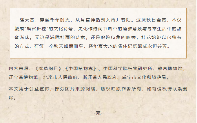 image.png?v=1762099910466