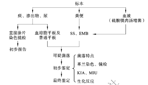 pagenumber_ebook=60,pagenumber_book=53