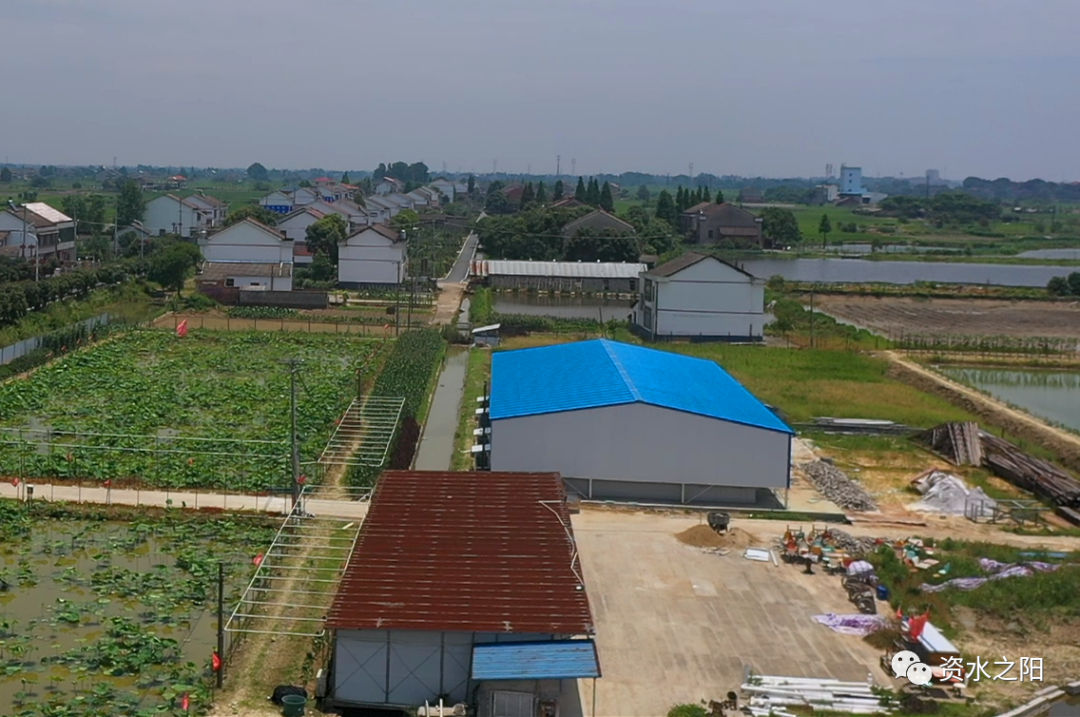 4 4.png?v=1765771807380