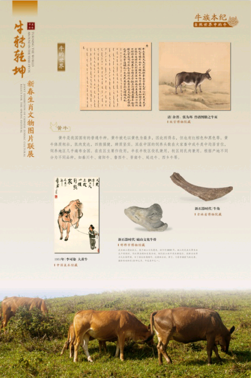 QQ图片20210207130148 QQ图片20210207130148.png