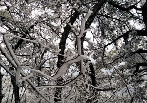 微信图片_20201205193723 微信图片_20201205193723.png