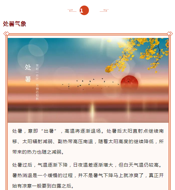 image.png?v=1750240634082
