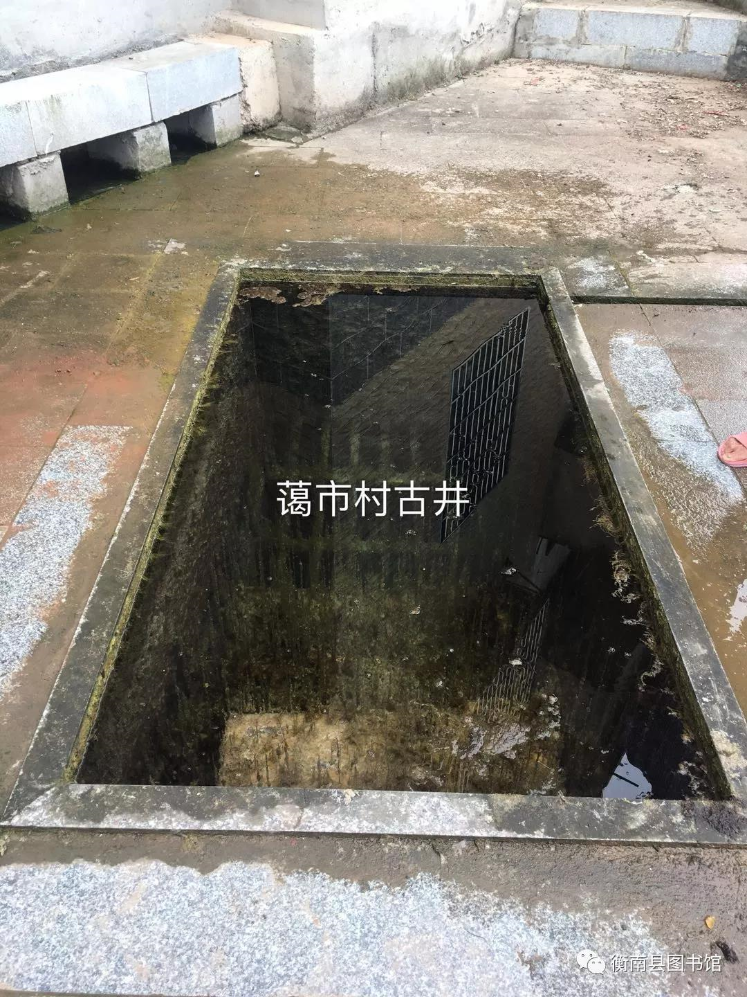 1547209865(1) 1547209865(1).jpg?v=1762242854094