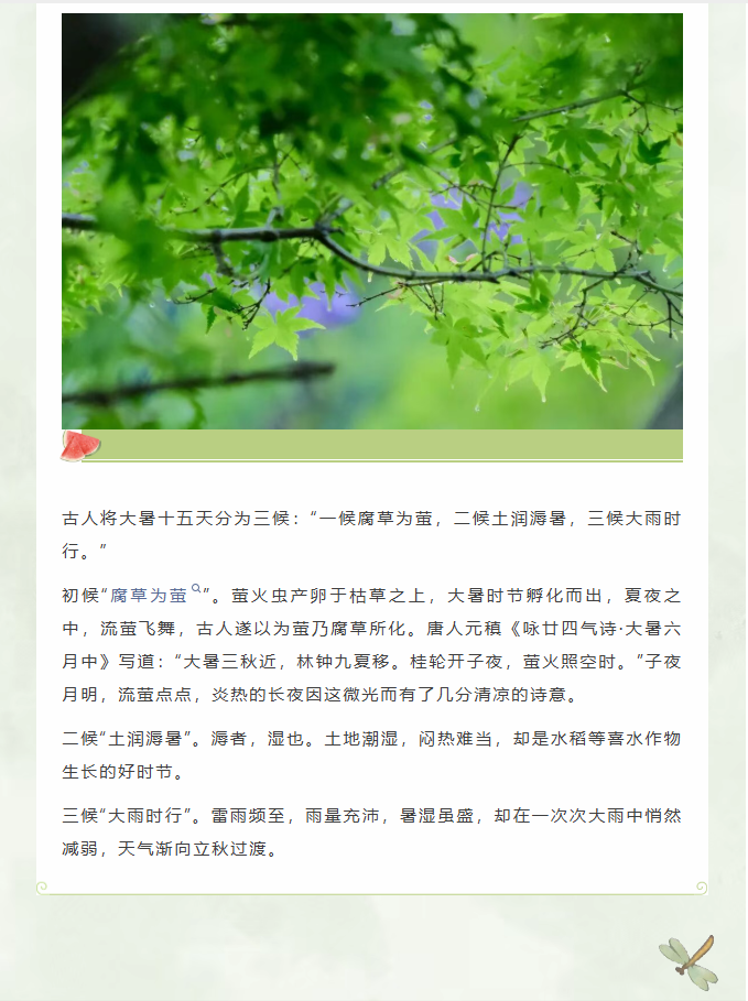 image.png?v=1785016524673