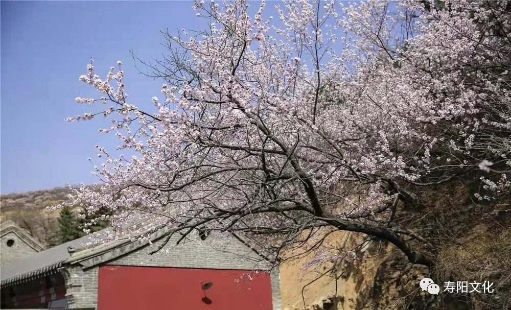 be5cb04c97fd45e7a53f297f789129c